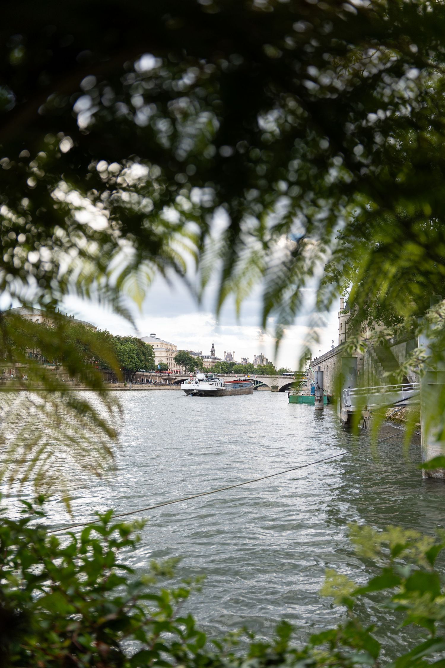 Scenic river view through lush foliage framing boats and buildings along the waterfront.