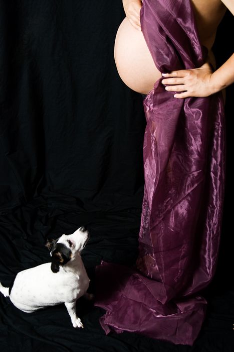 Artistic maternity photo with pregnant woman in purple dress and small dog.