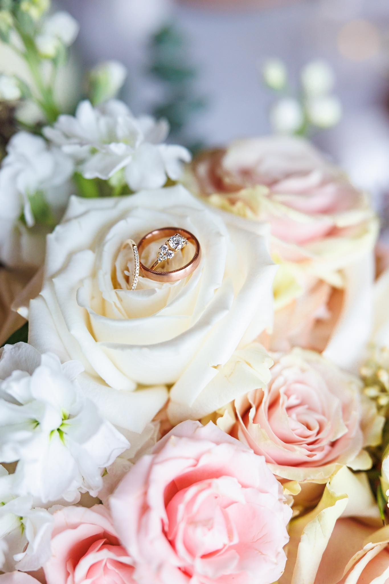 Elegant gold wedding rings nestled among delicate white and pink roses in a romantic floral arrangement.