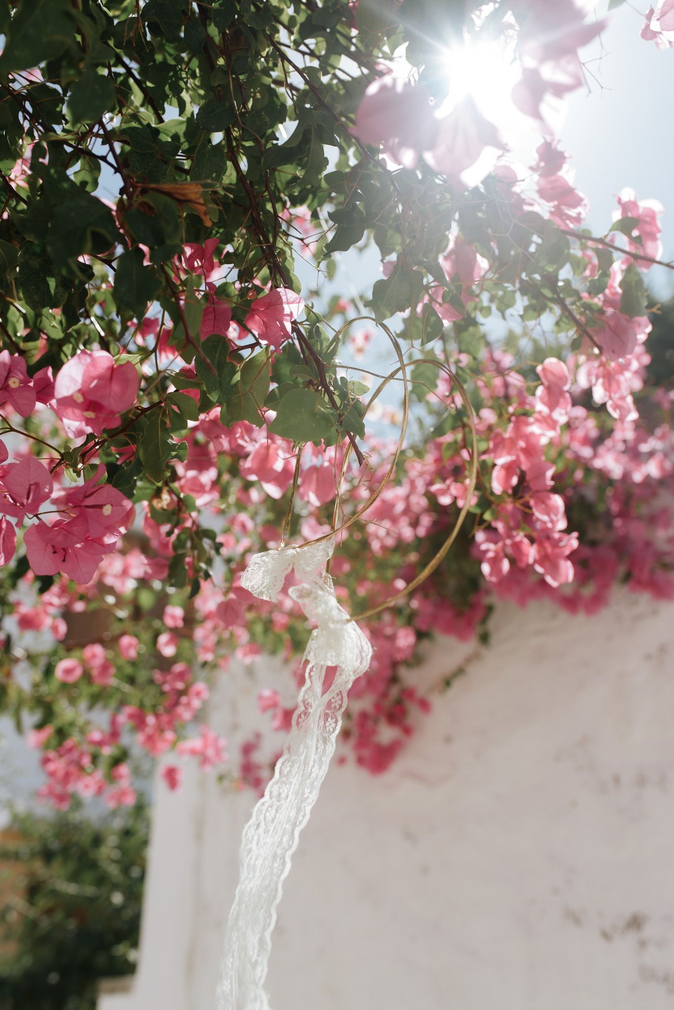 White lace wedding veil hanging from vibrant pink bougainvillea on a sunlit white wall.
