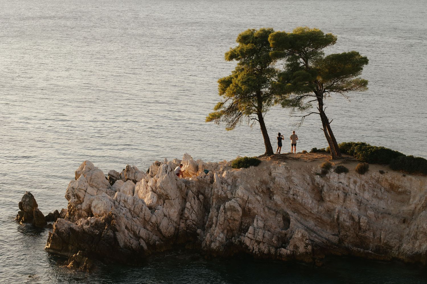 Two people standing on rocky coastal cliff beside tall pine trees overlooking calm sea at dusk.