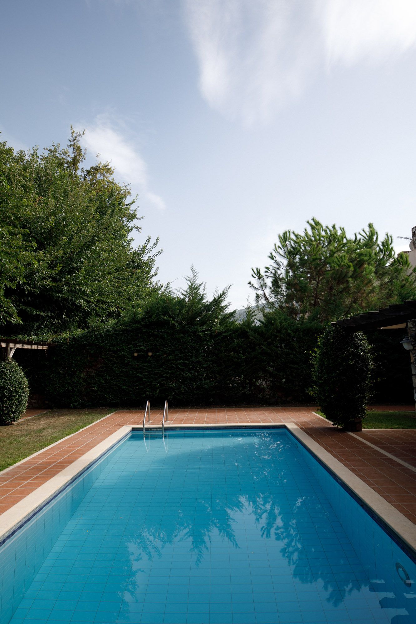 Serene rectangular swimming pool surrounded by tall green hedges and trees under a blue sky.