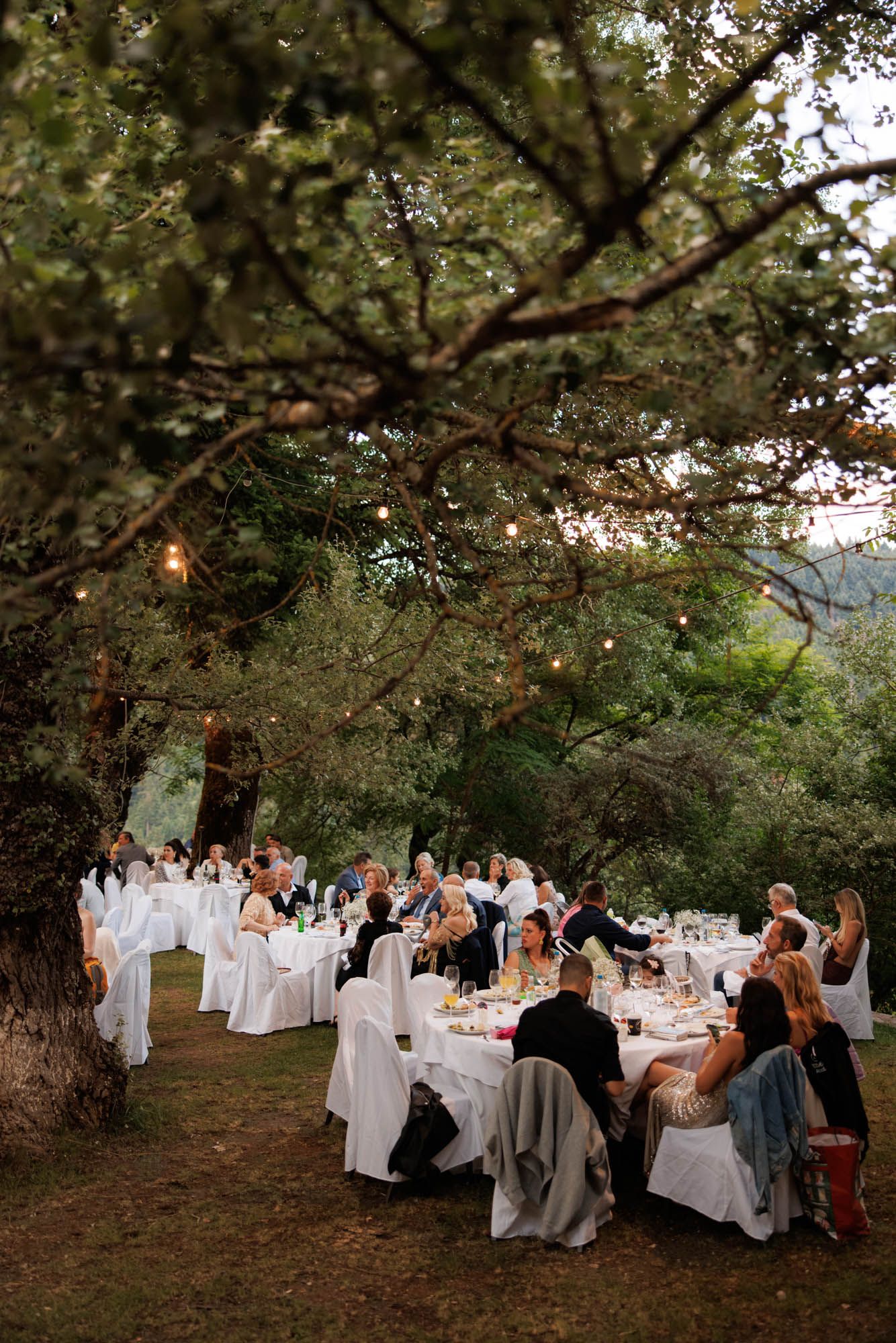 Wedding guests dine at white-clothed tables under canopy of trees with string lights at outdoor reception.