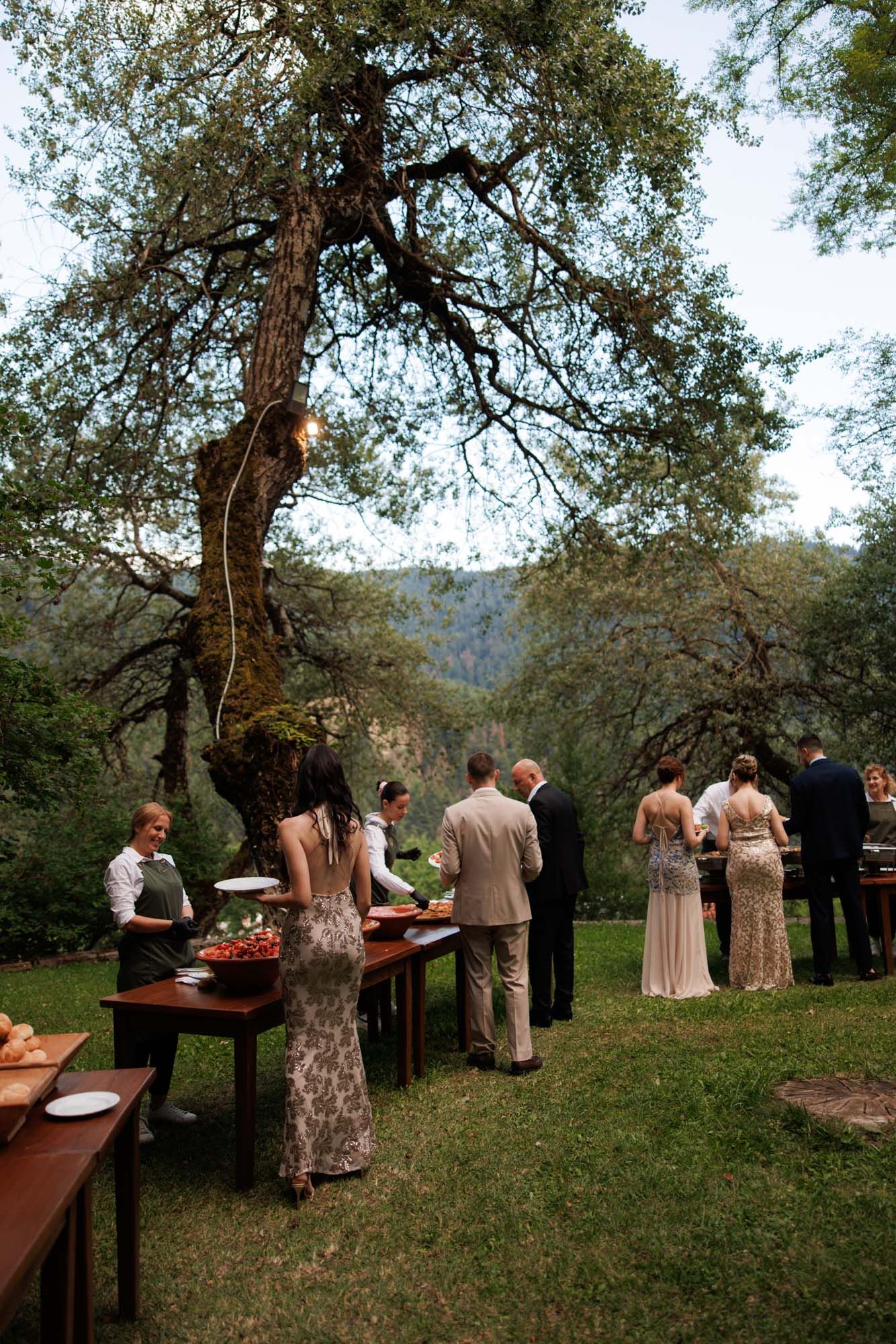 Wedding guests mingle at outdoor reception buffet tables beneath large oak trees with mountain backdrop.