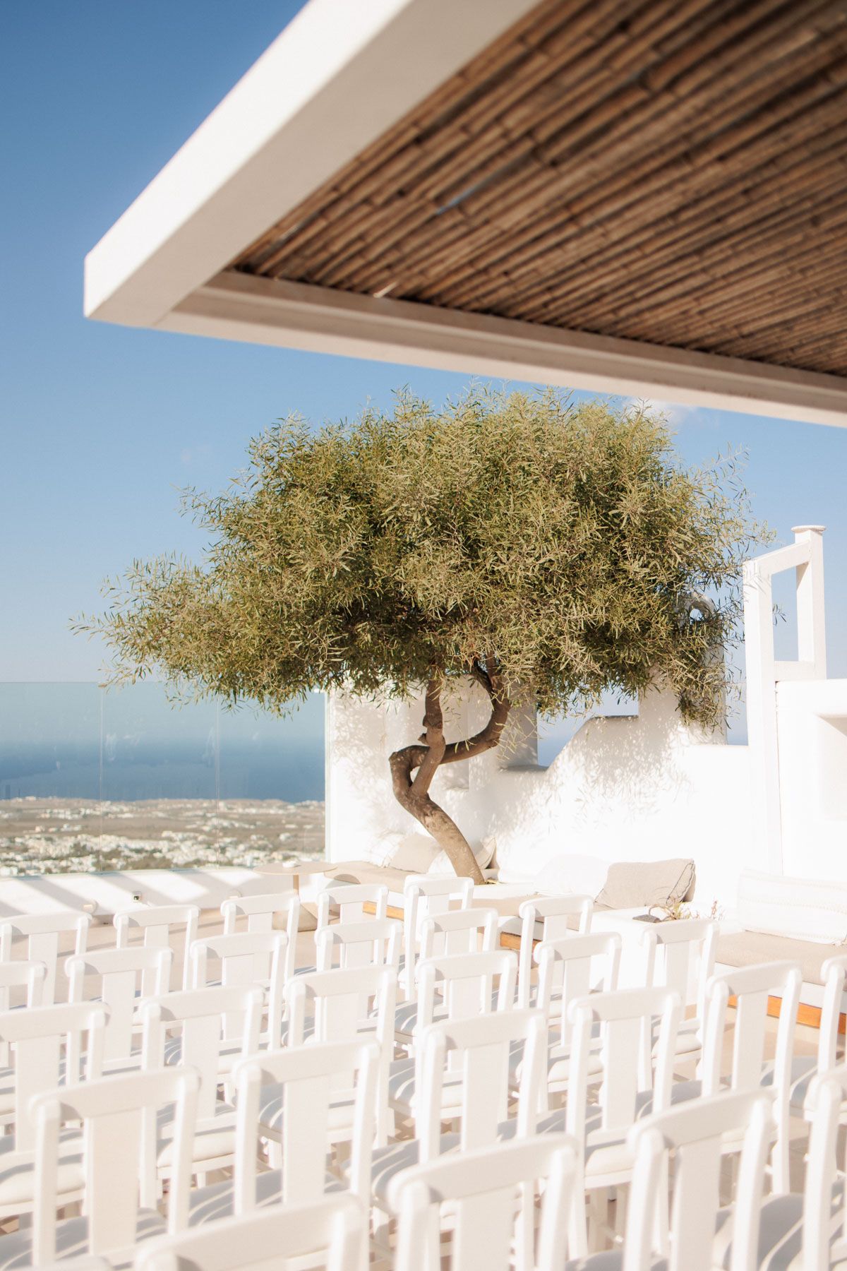 White wedding ceremony chairs arranged beneath olive tree at scenic Santorini clifftop venue.