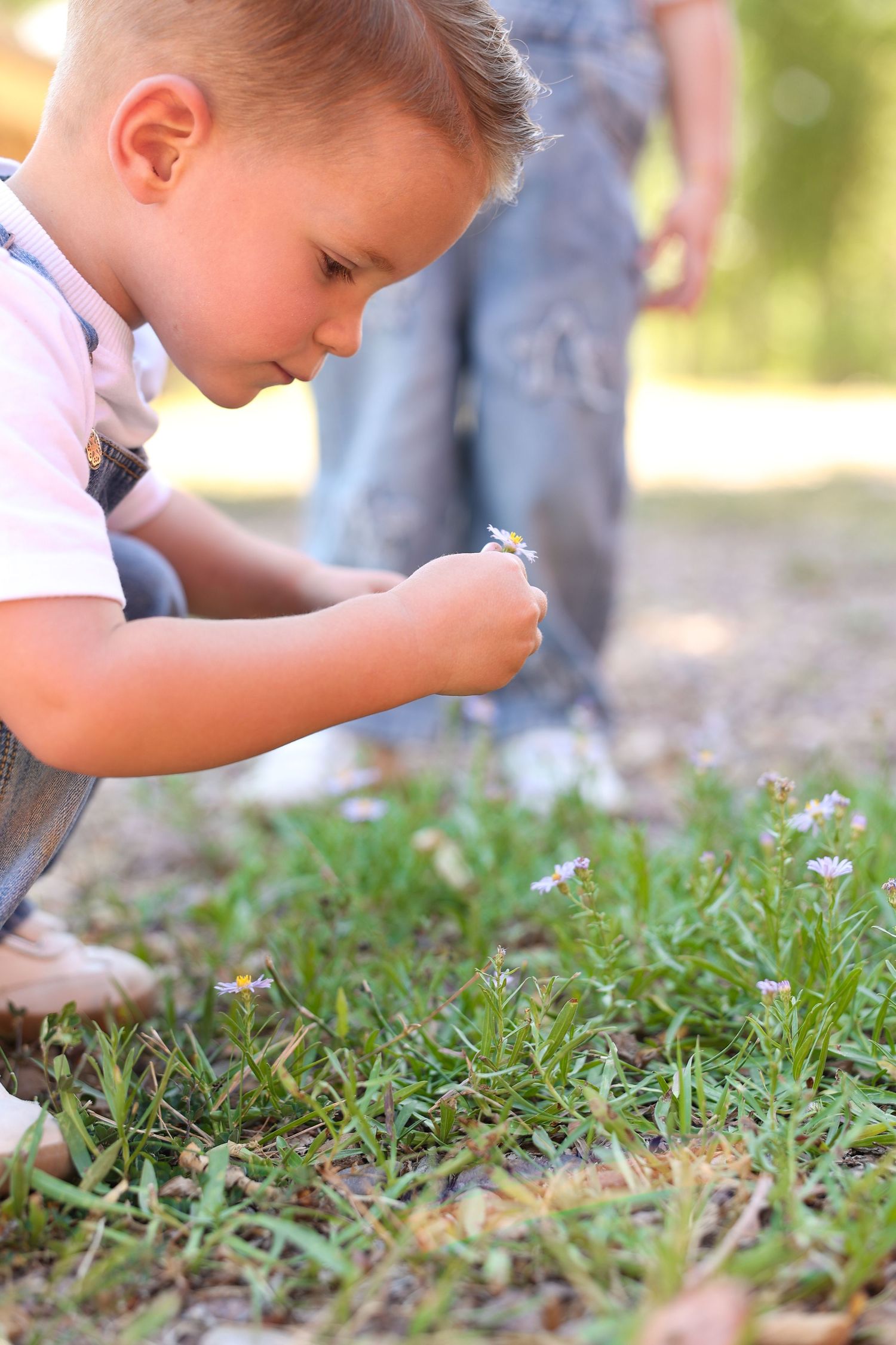 family