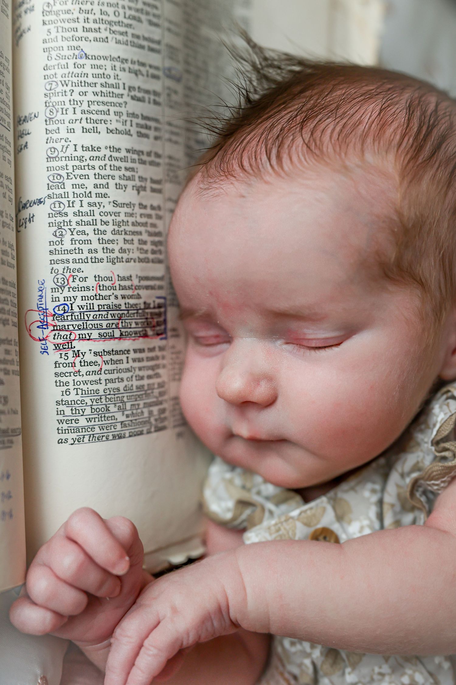 newborn
