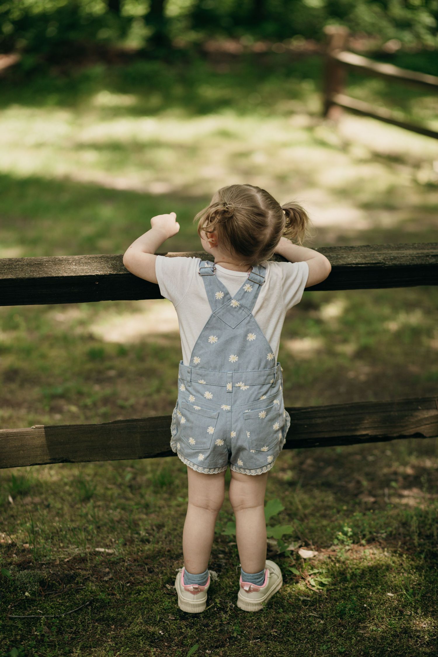 Toddler girl in denim floral overalls standing at a wooden fence viewed from behind.