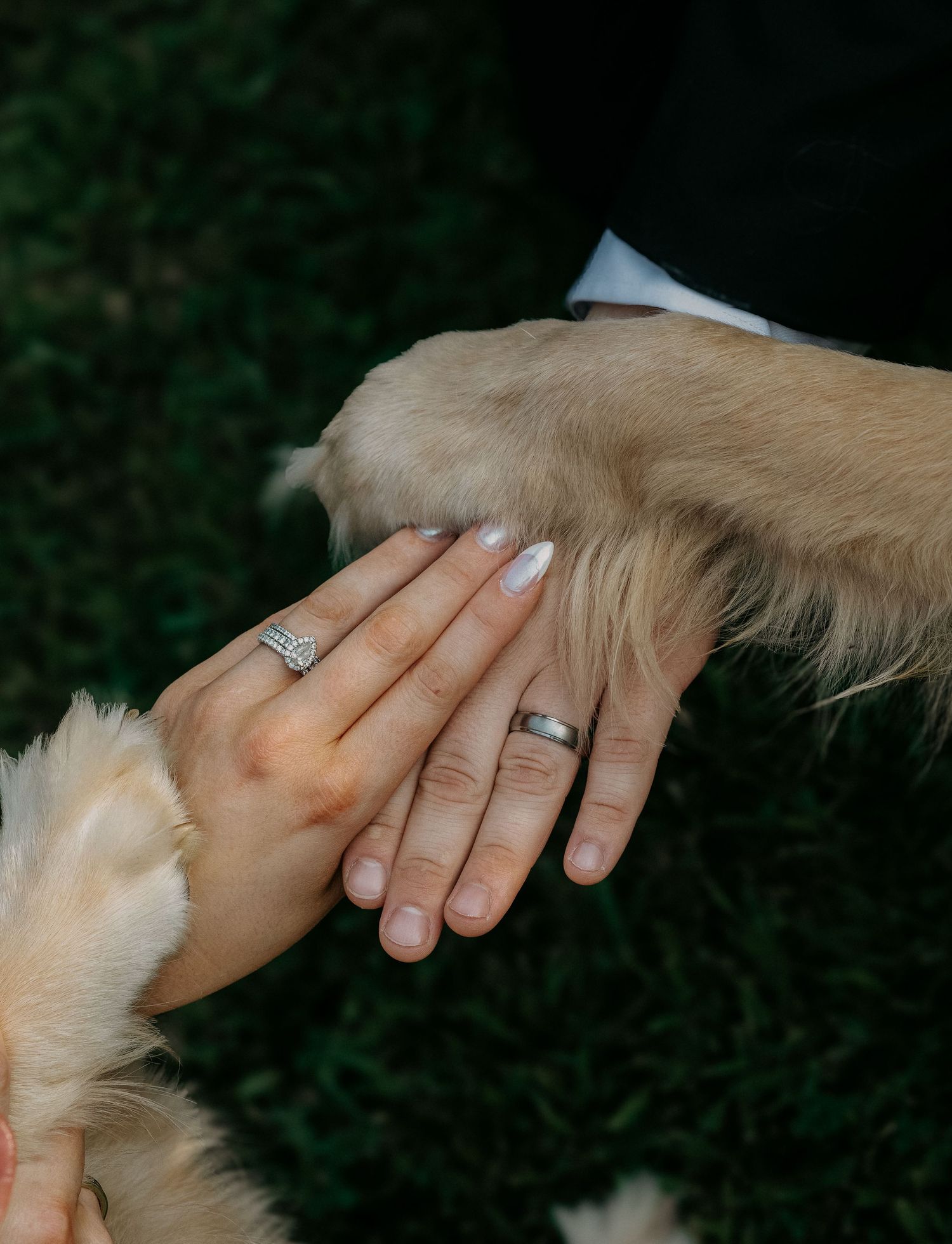Bride and groom displaying wedding rings alongside their golden retriever dog paw.