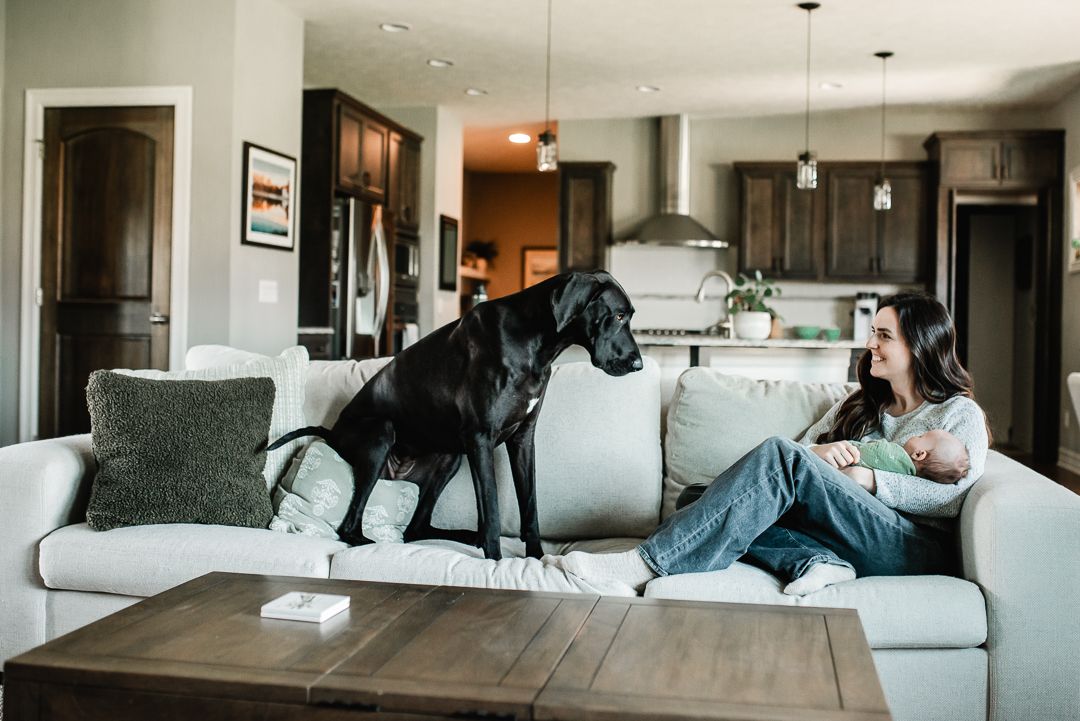 A woman relaxes on a white sofa with a large black Great Dane dog in a modern open-plan living room.