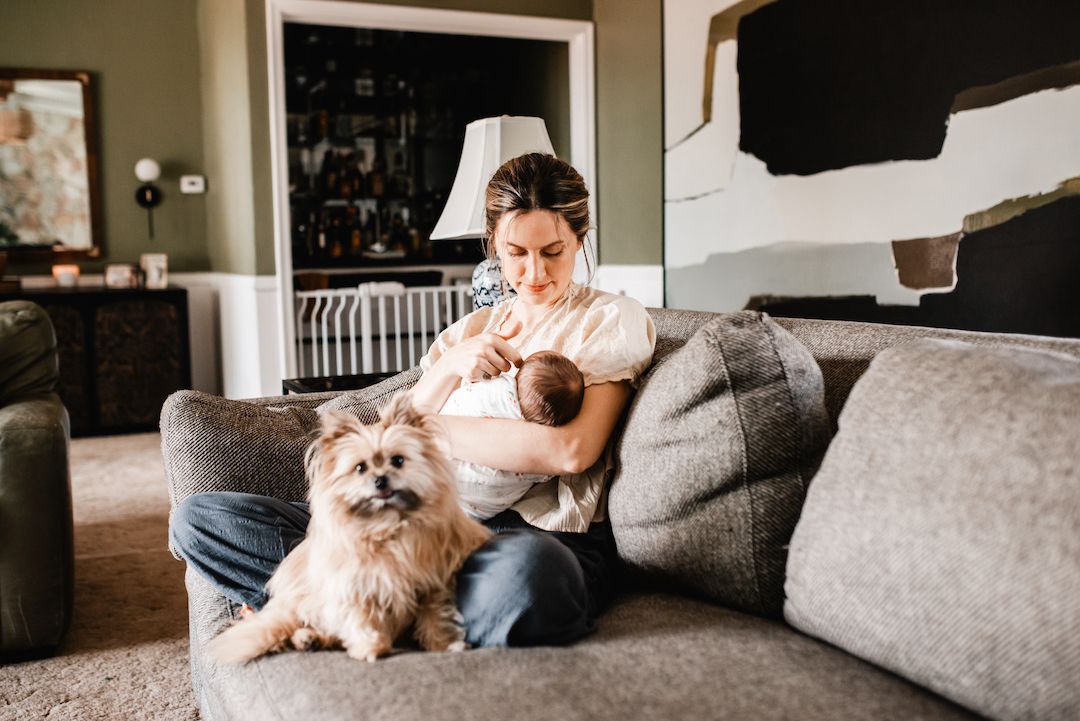 Woman breastfeeding newborn baby on gray sofa with fluffy small dog beside her in cozy living room.