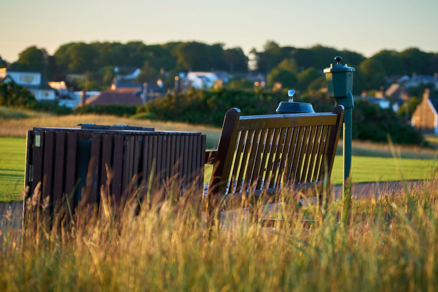 Wooden park bench and trash can overlooking golden grasslands with a town and trees in the background at sunset.