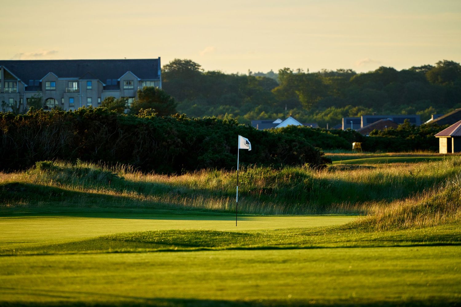 Golden hour light illuminates a golf course green with a white flag, surrounded by rough grass and buildings.