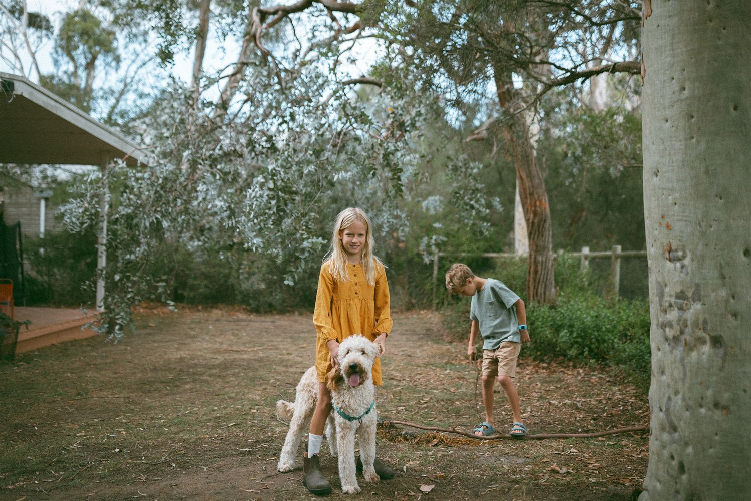 A girl in a yellow sweater holds a fluffy dog in a backyard with trees, while a boy plays in the background.