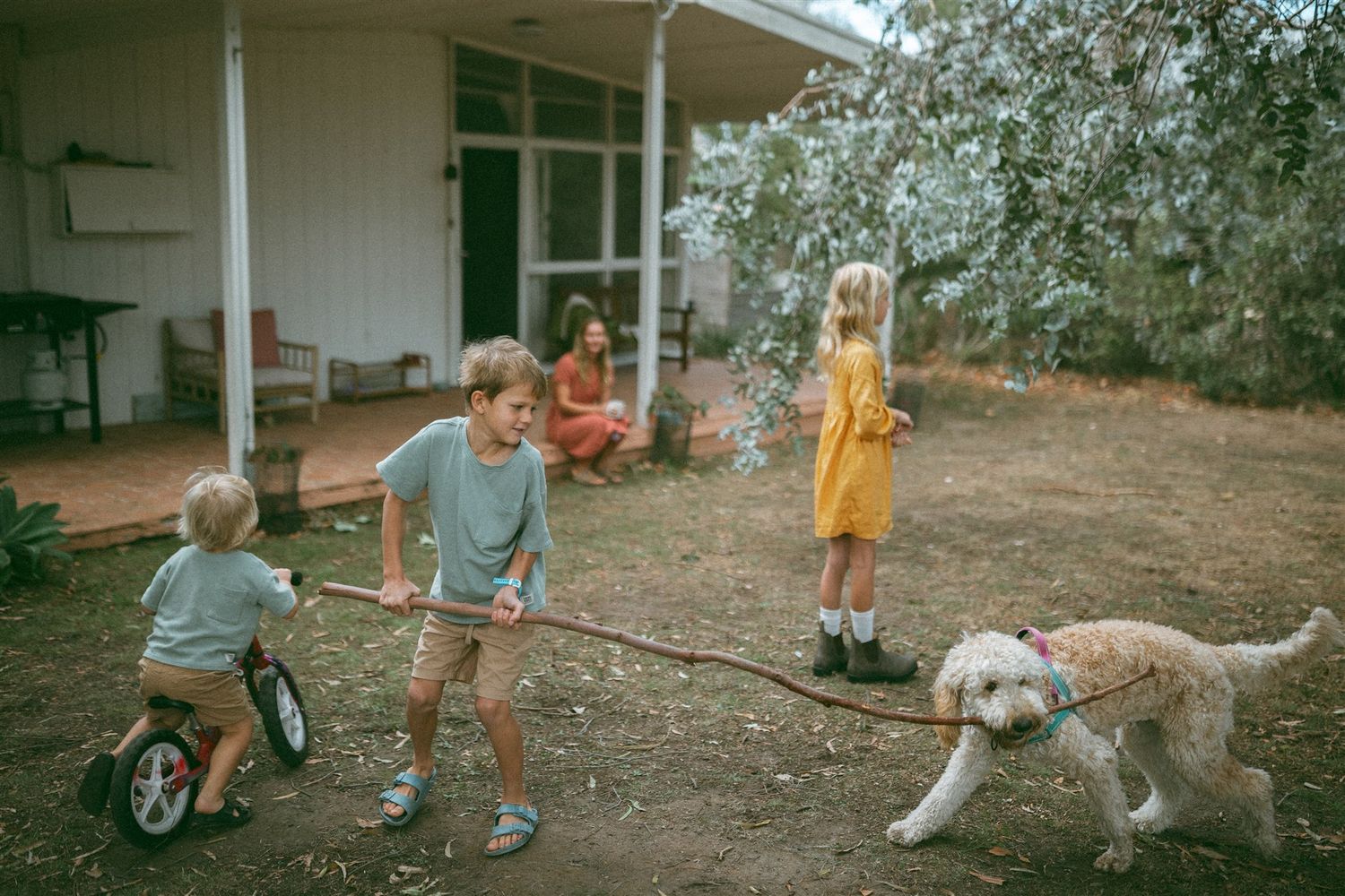 Children playing in a backyard with a golden doodle dog, one riding a tricycle, near a white house with blooming trees.