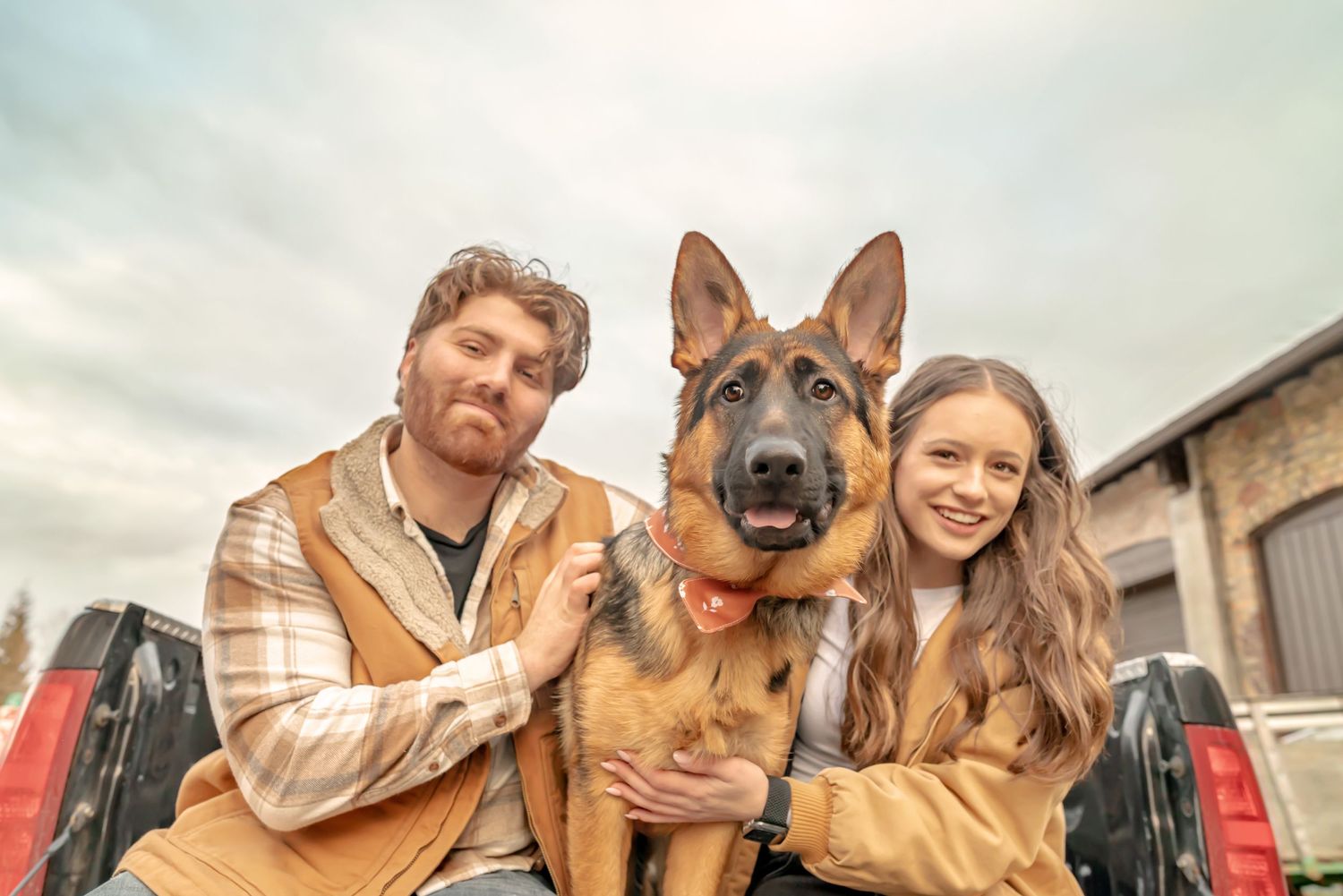 Couple sitting in back of pickup truck be with new German Shepherd puppy. Pet adoption photography session. Doughman Photography.