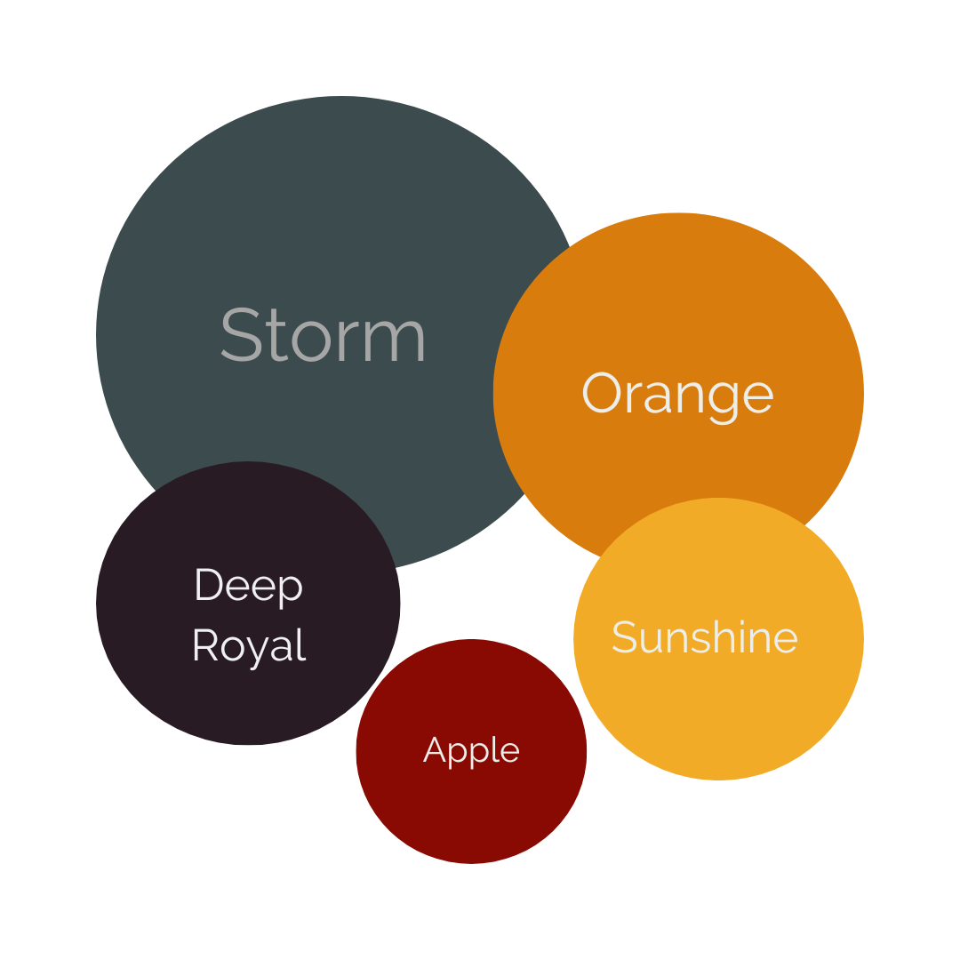 Warm and Inviting color palette 1: circles of storm, orange, yellow sunshine, deep royal, red apple.   Doughman Photography