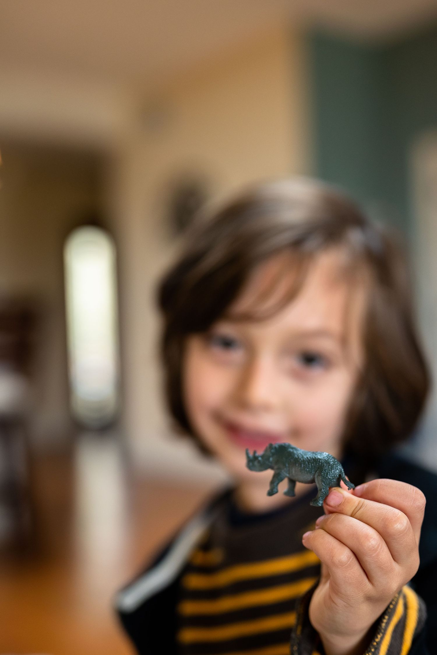 Close up of little boy holding a small plastic toy rhino out to the camera.  Doughman Photography