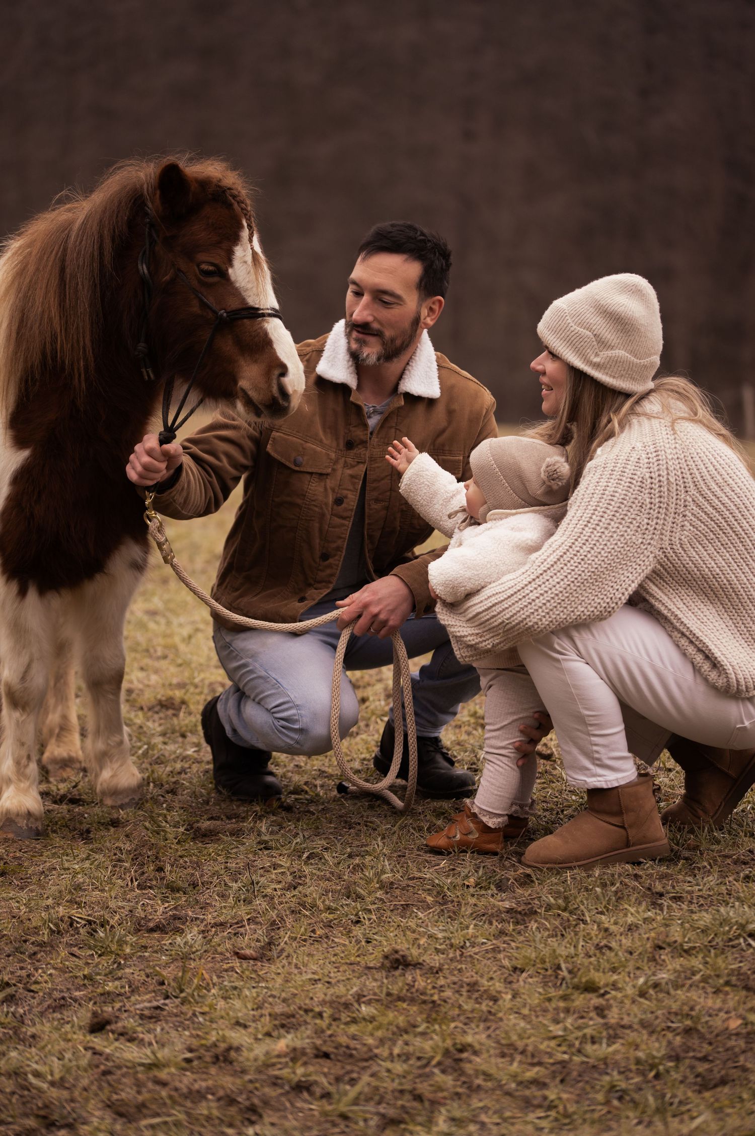 Four sequential photos show people in casual clothes playfully interacting with a horse on the ground in a field.