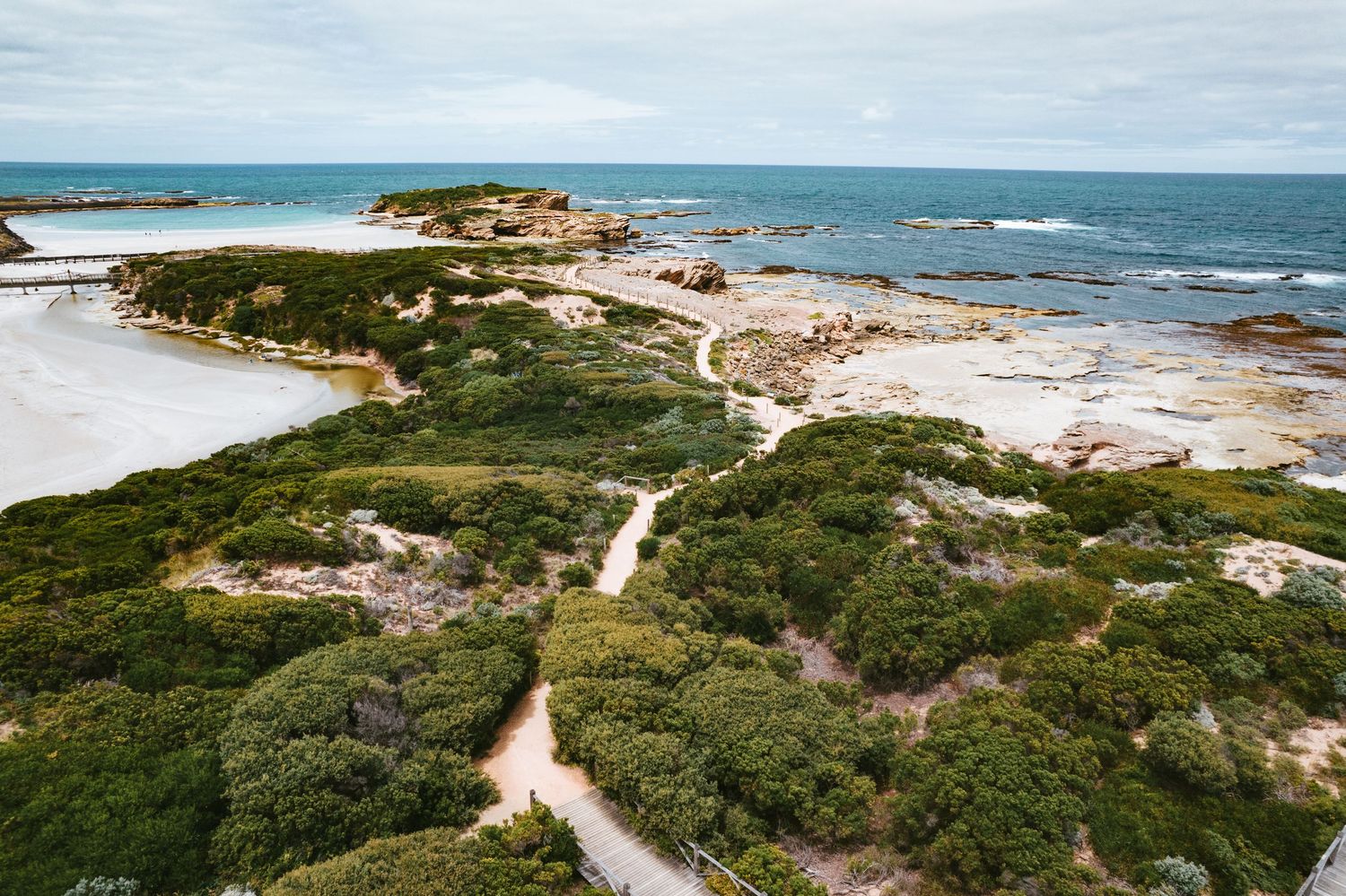 Scenic coastal path winding through green shrubs towards a rocky beach and blue ocean.