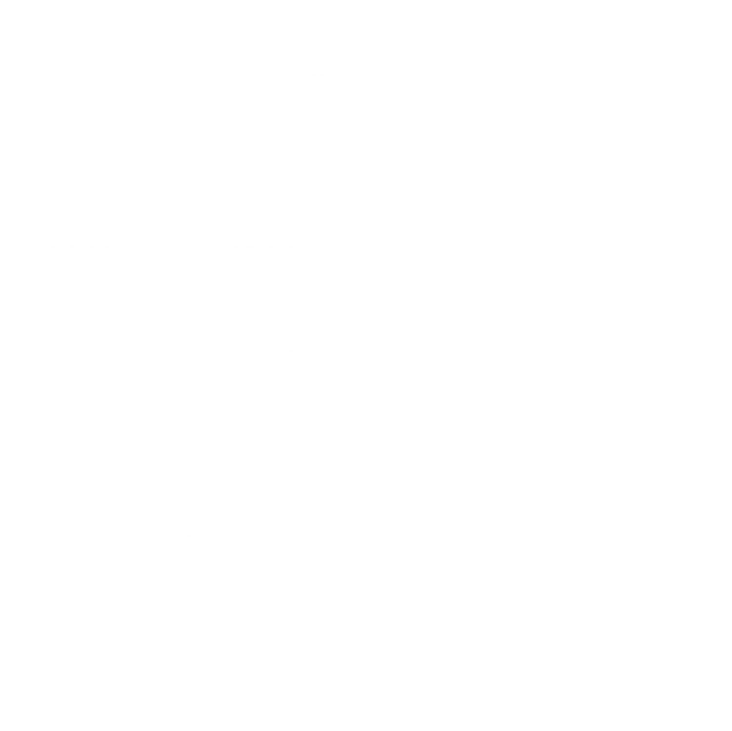 White blank image with no visible content or subjects.