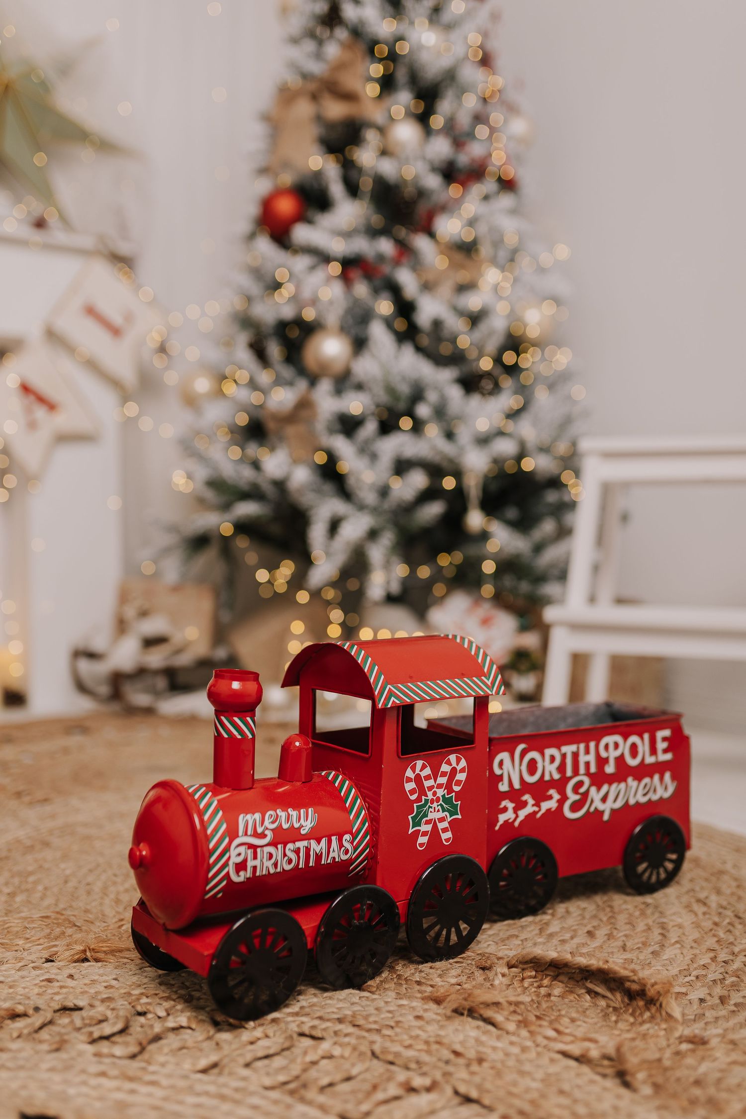 jo matos fotografia sessões de Natal