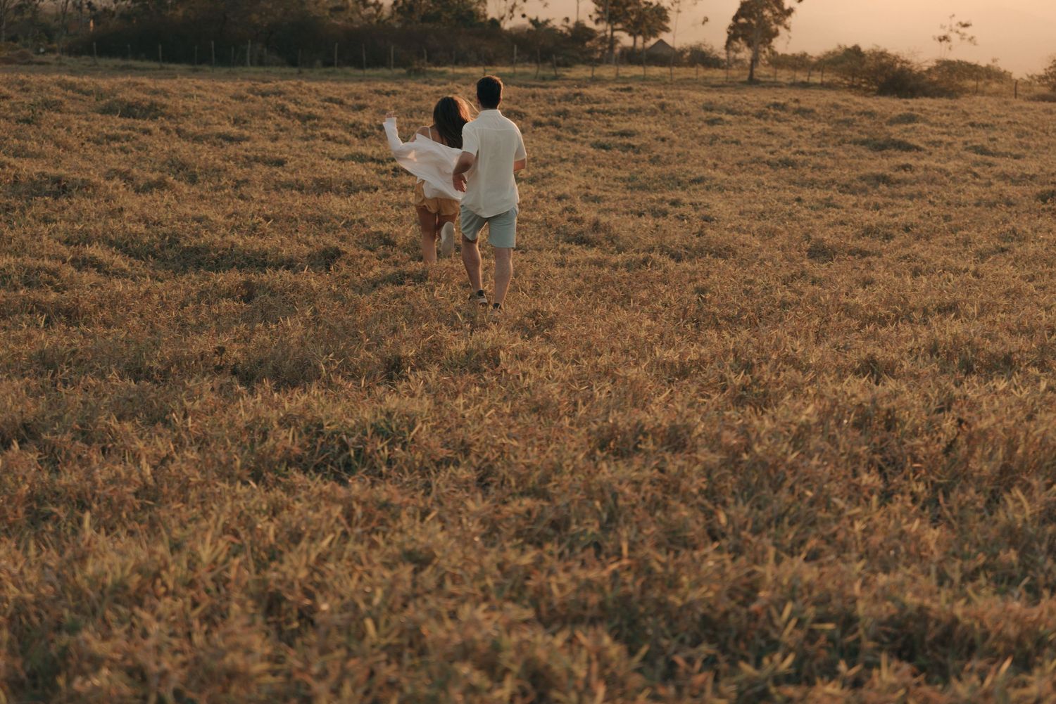 Couple walking together through a golden field at sunset.