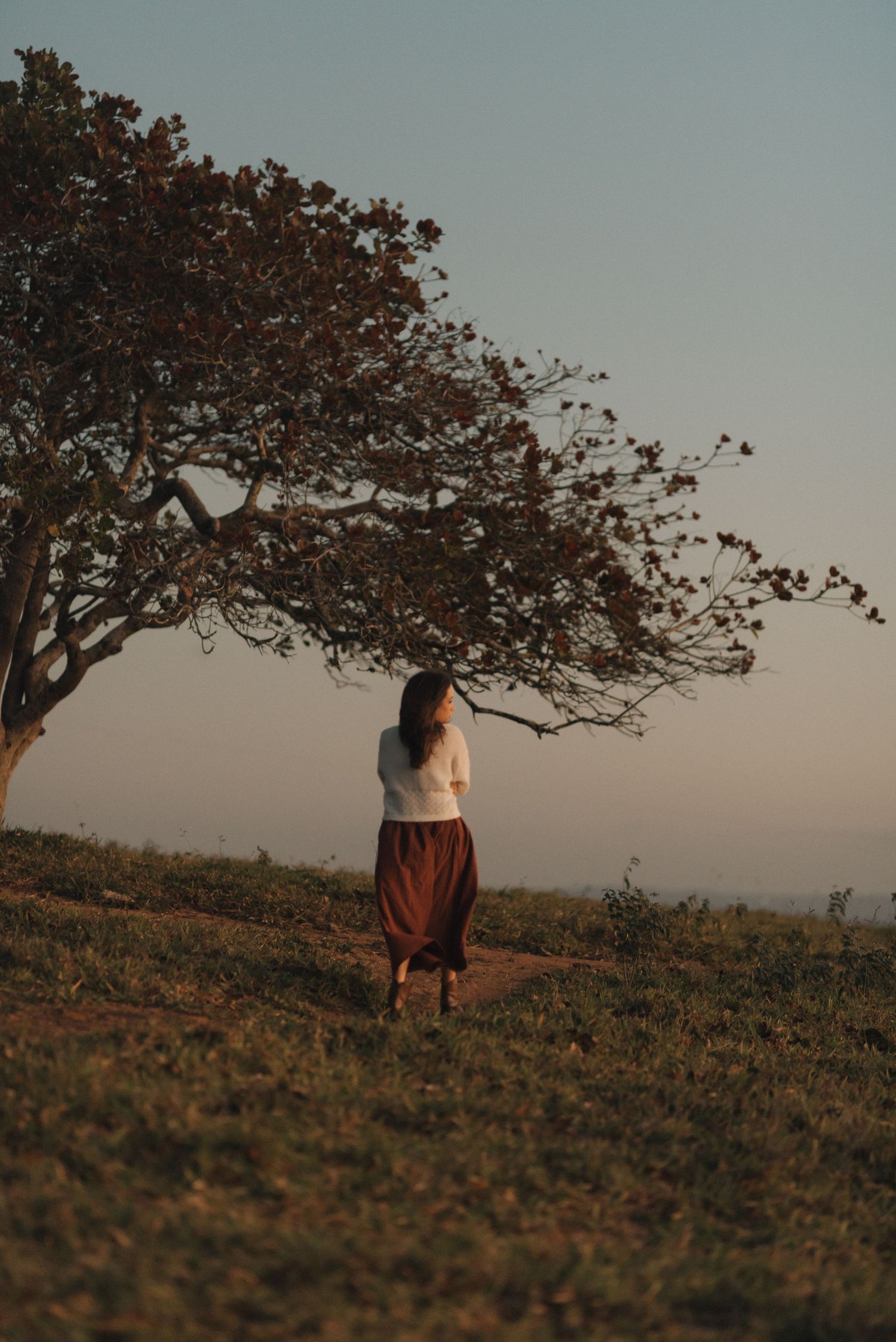 Scenic portrait under a windswept tree during golden hour.