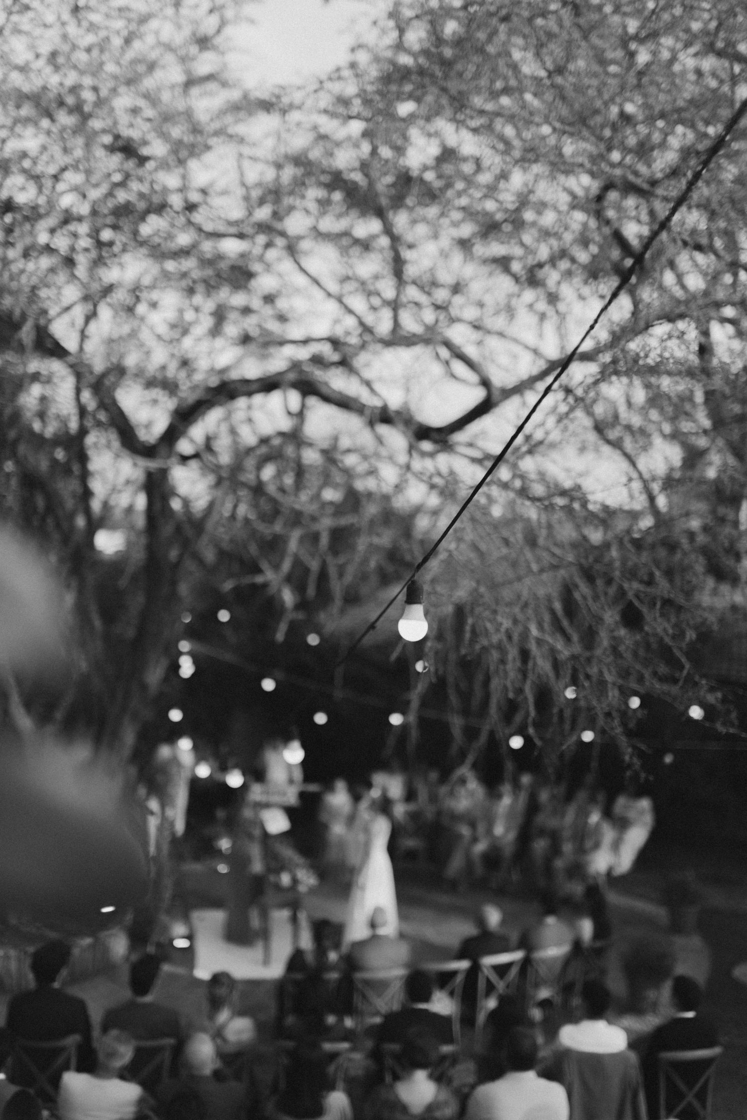 String lights illuminate an outdoor wedding ceremony setup with rows of chairs under blooming cherry blossom trees at dusk.