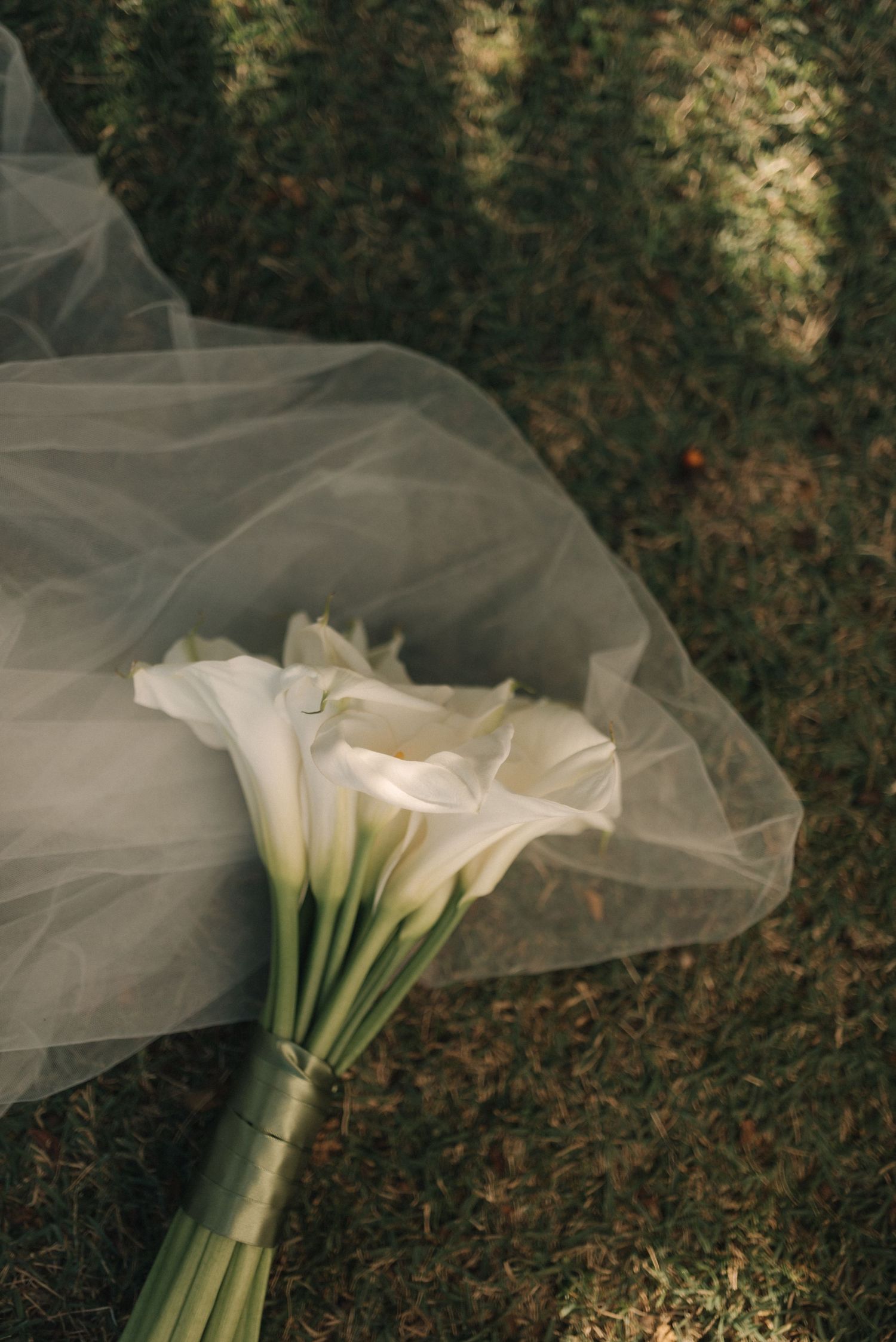 A classic white calla lily bridal bouquet with delicate tulle veil lying on grass.
