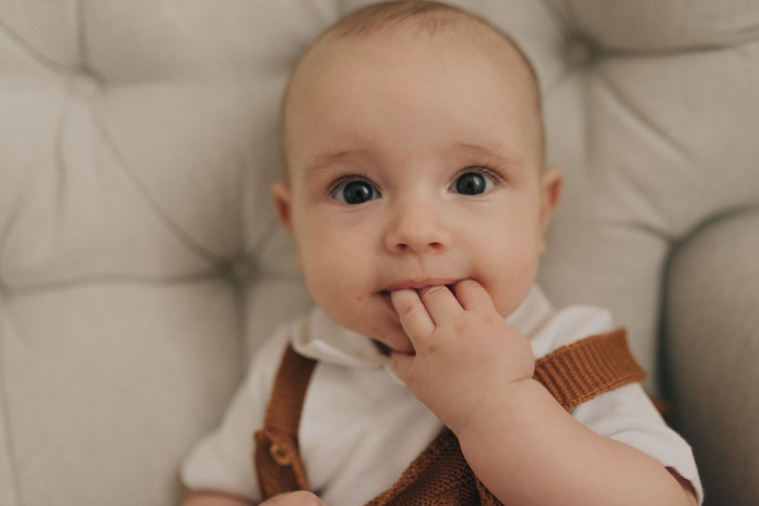 Baby wearing brown suspenders and white outfit chews on their fingers while sitting on tufted furniture.