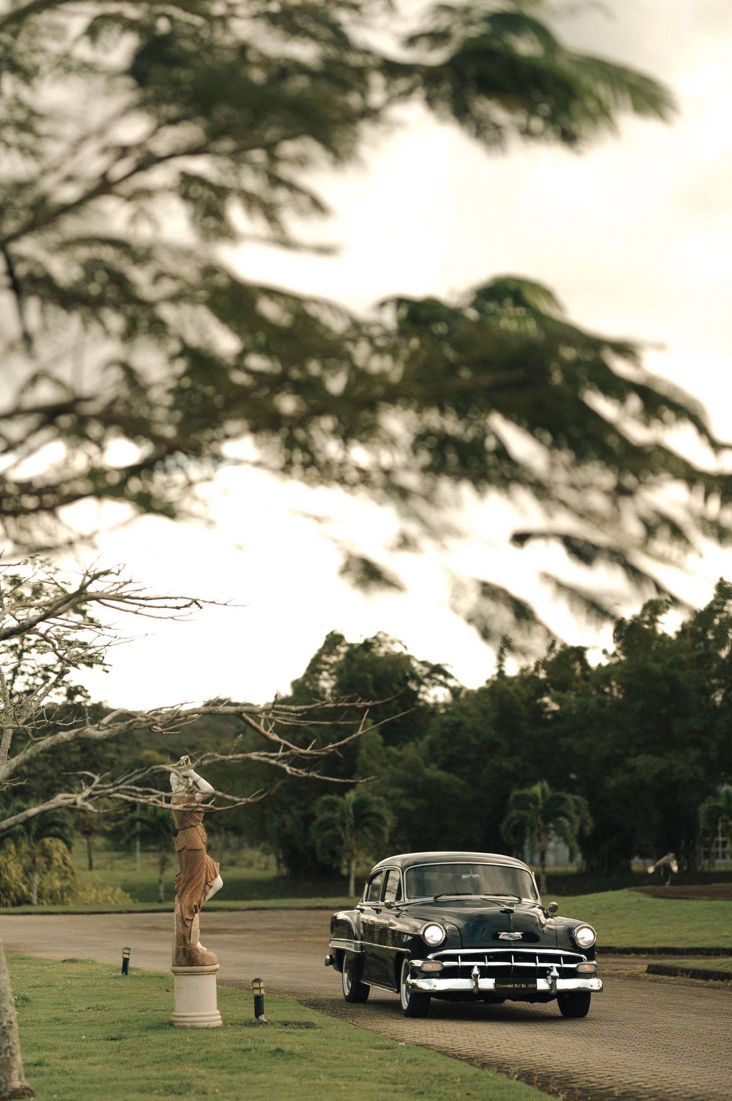A vintage black car parked on a scenic driveway surrounded by swaying palm trees in a tropical landscape.