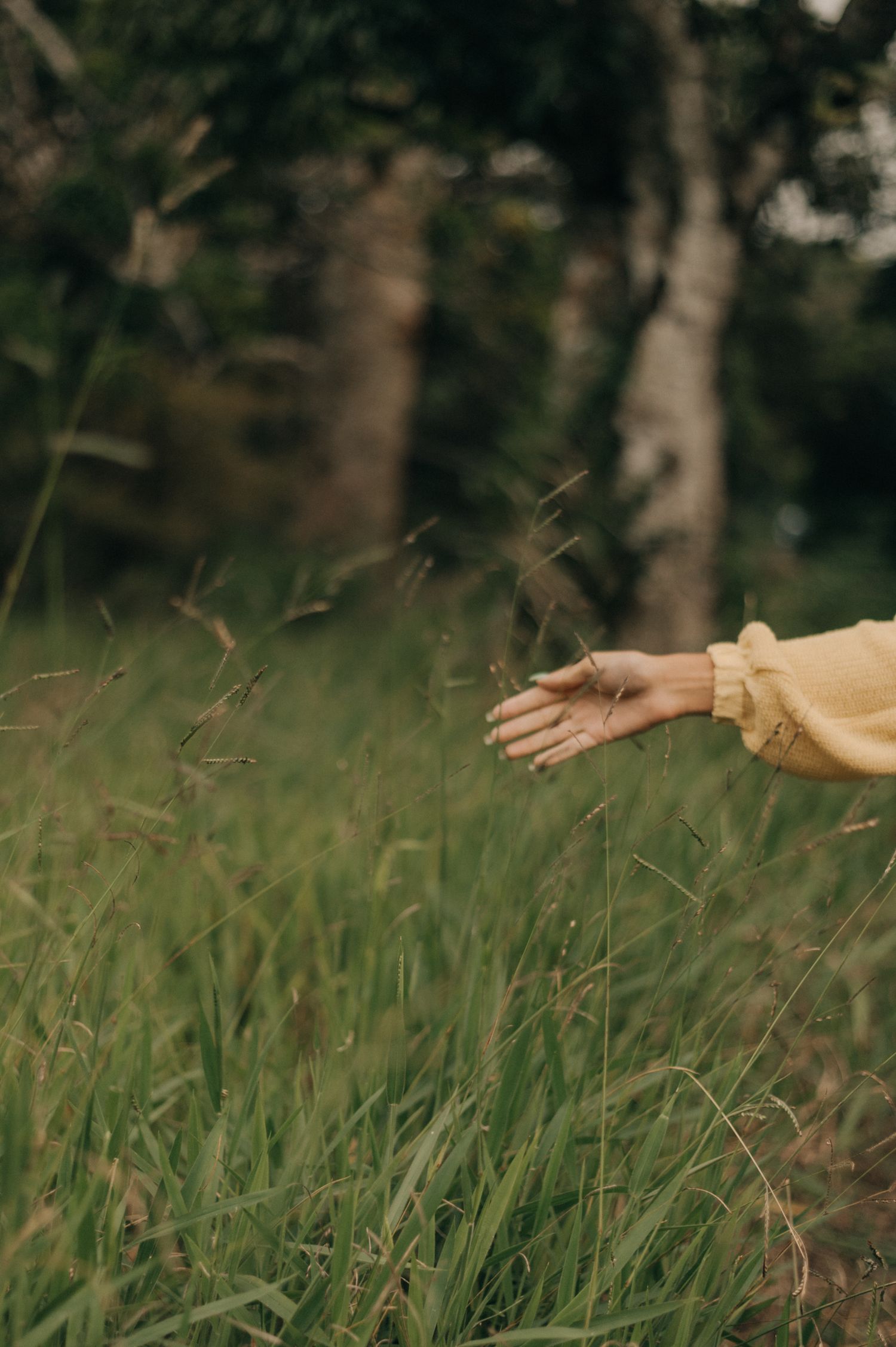 An outstretched hand reaches towards tall grass in a dreamy nature setting.