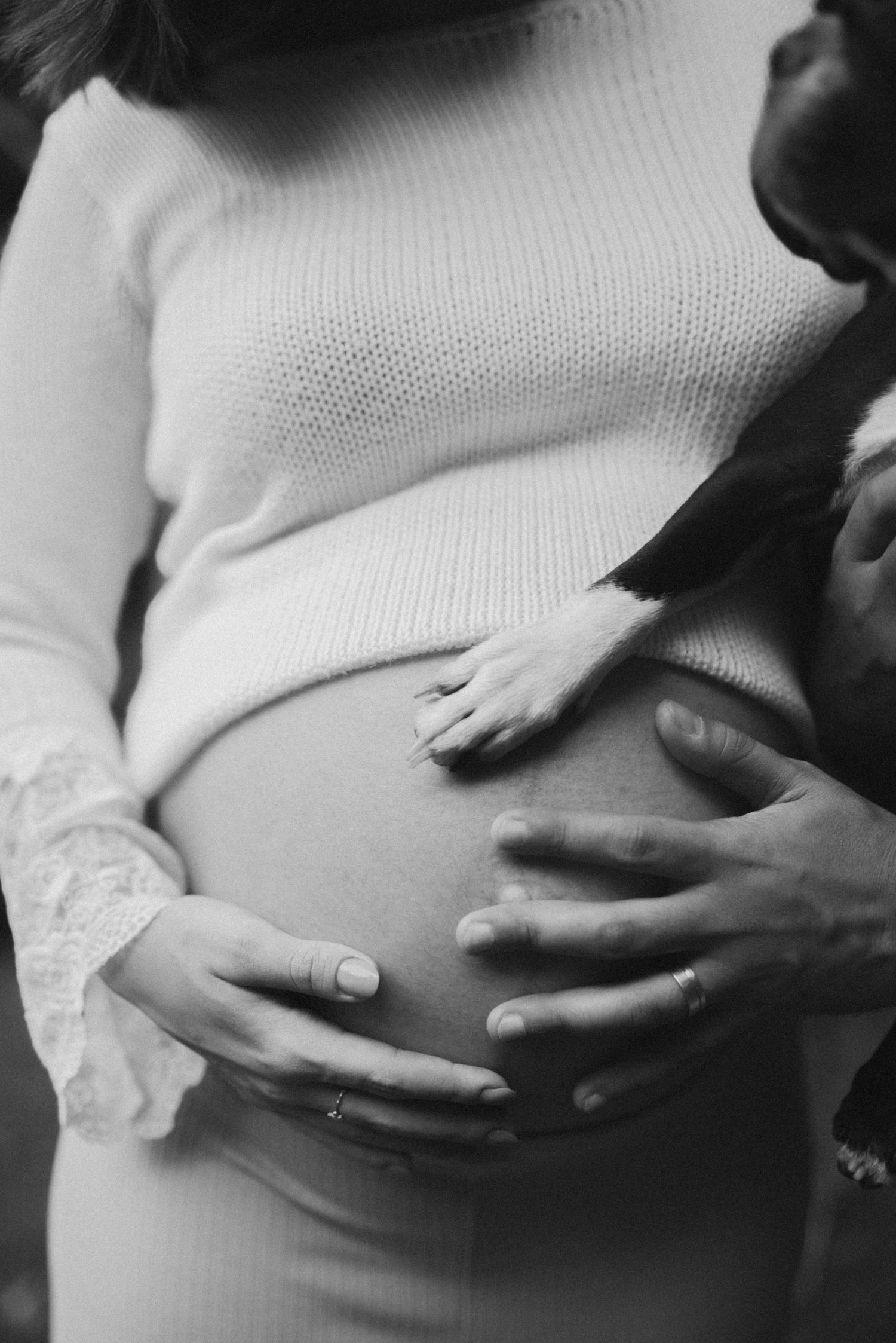 Intimate black and white photo of hands cradling pregnant belly in knit sweater.