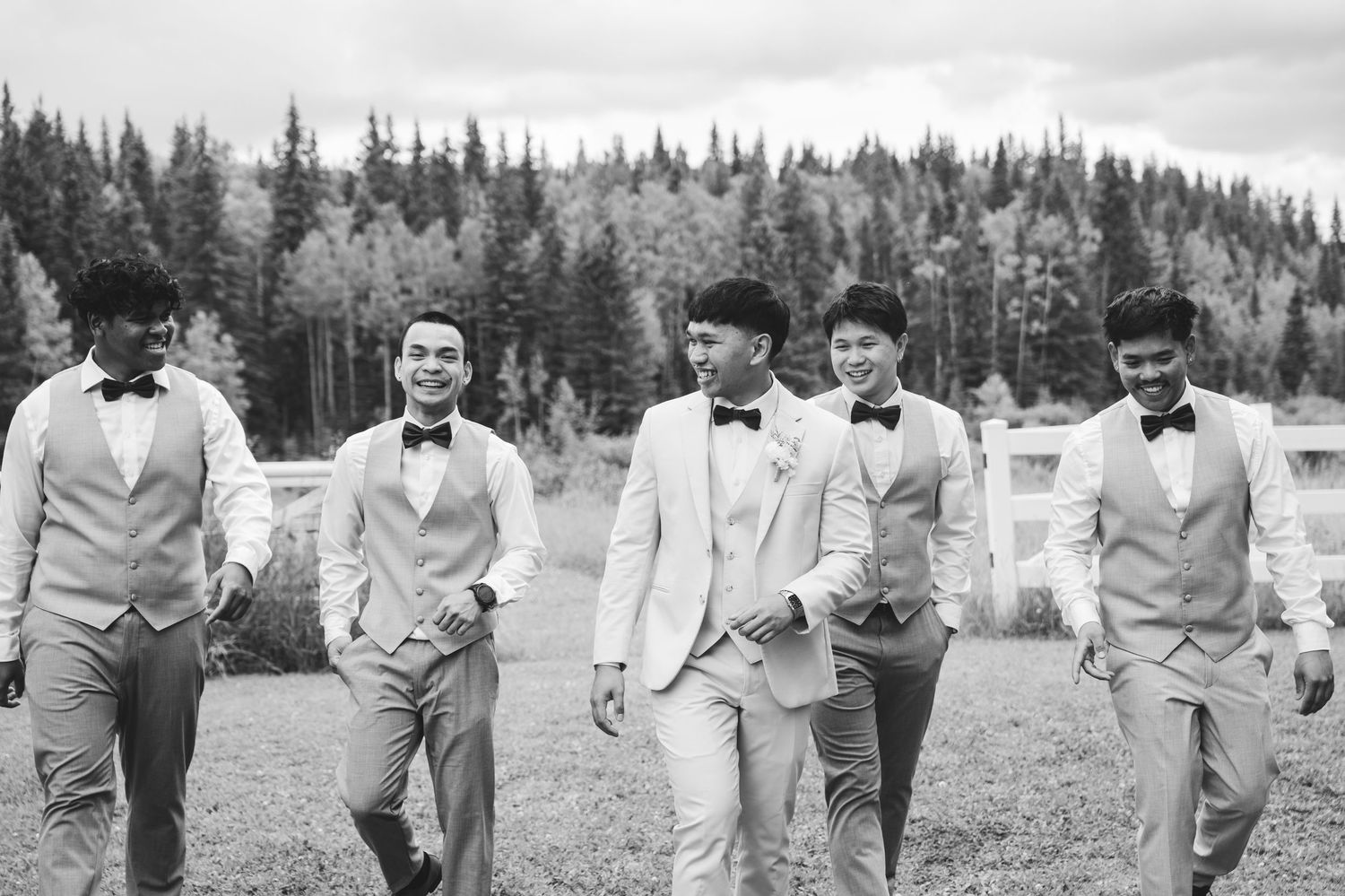 Wedding party in light colored suits walks through a grassy field with evergreen trees in the background.