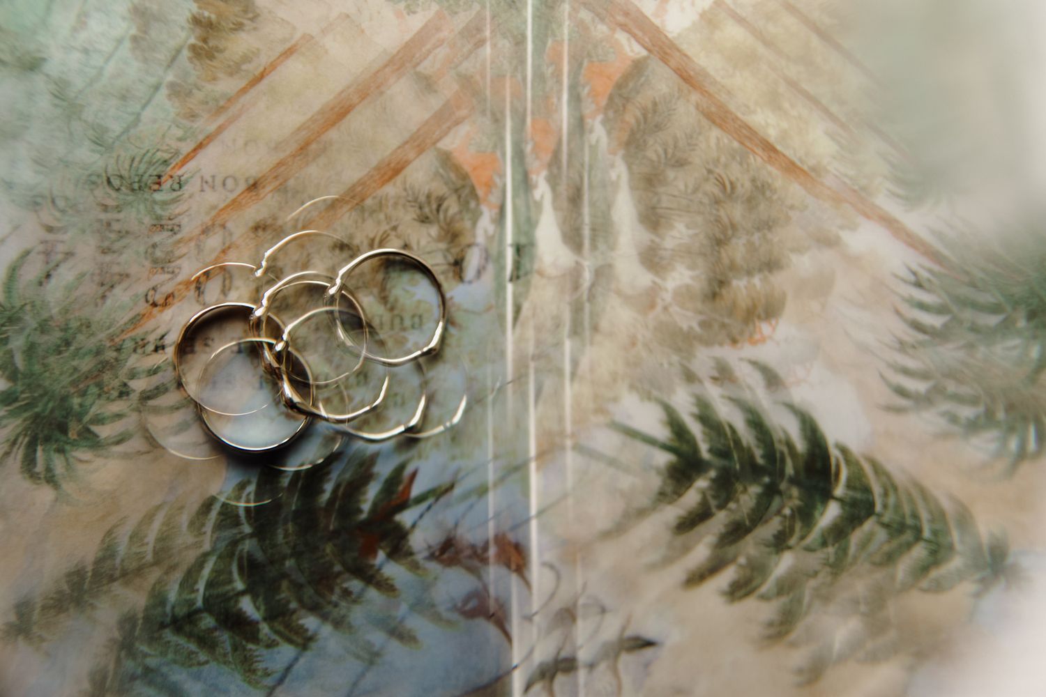 Wedding rings and bands artistically arranged with fern shadows on a textured surface.