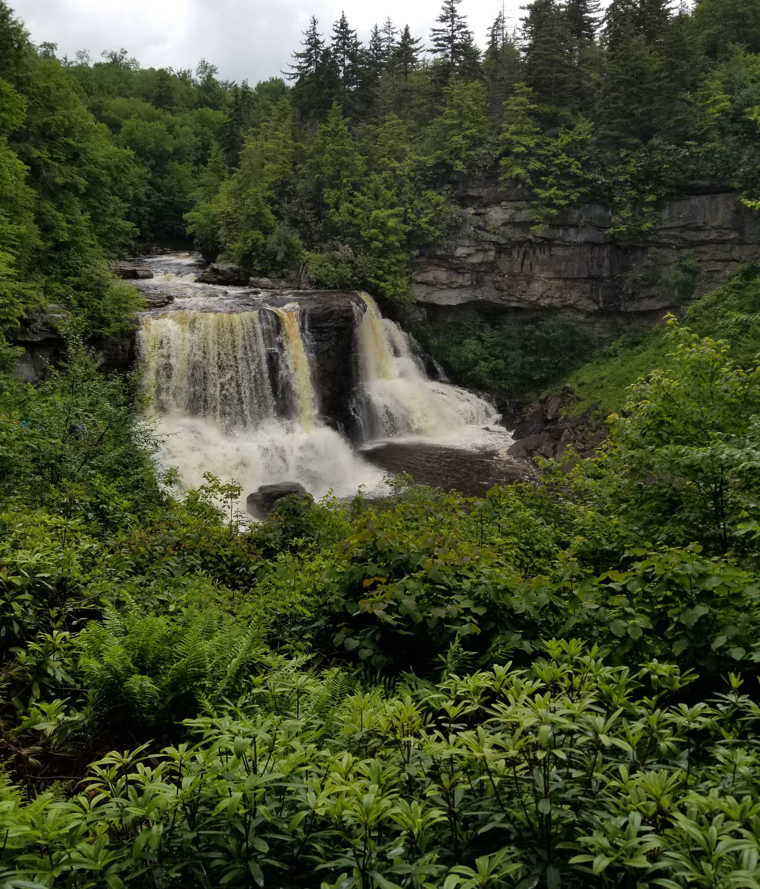 shot of Blackwater Falls in the summer, surrounded by green trees all around, shot from overhead in the summer on a cloudy day in WV