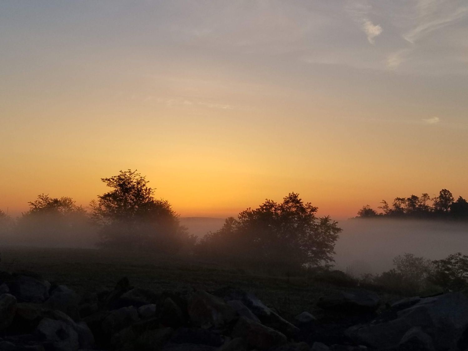 deep orange and gold sunset with dark trees and fog shot in the mountains around Morgantown, WV