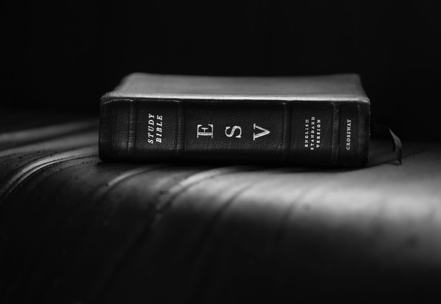 black and white image of leather ESV Bible lying closed with the spine visible on a black leather chair, showing the spine's gold lettering