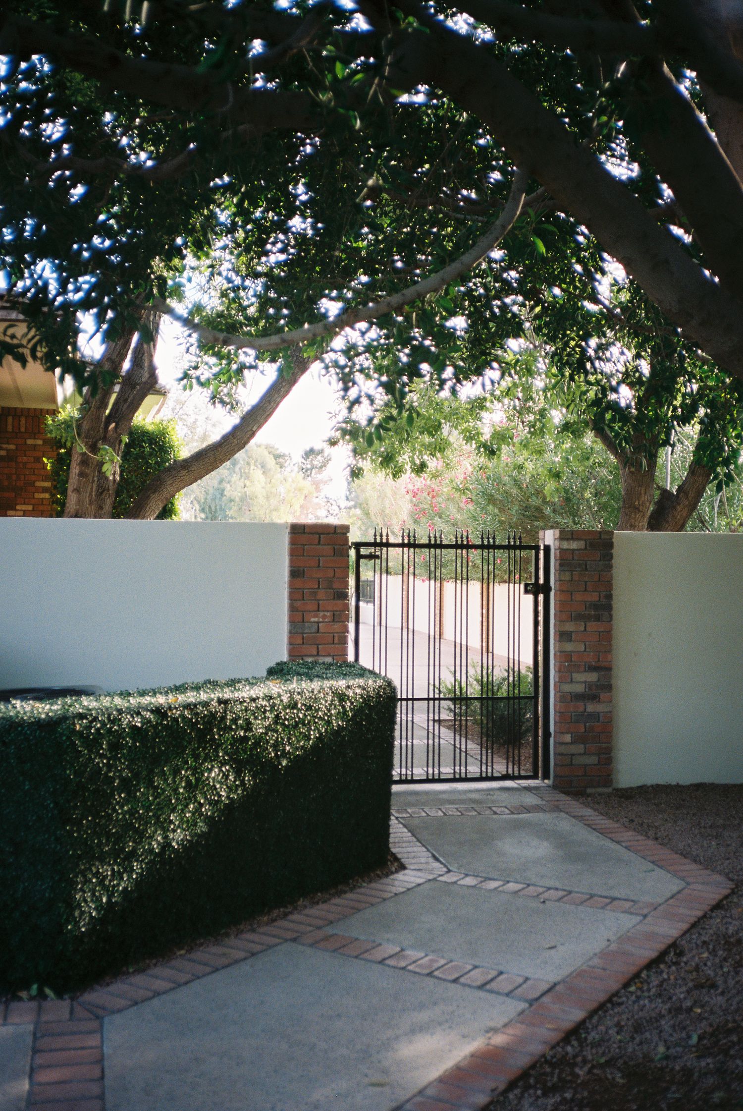 Serene garden entrance with iron gate, brick pillars, white walls, and lush overhanging trees.