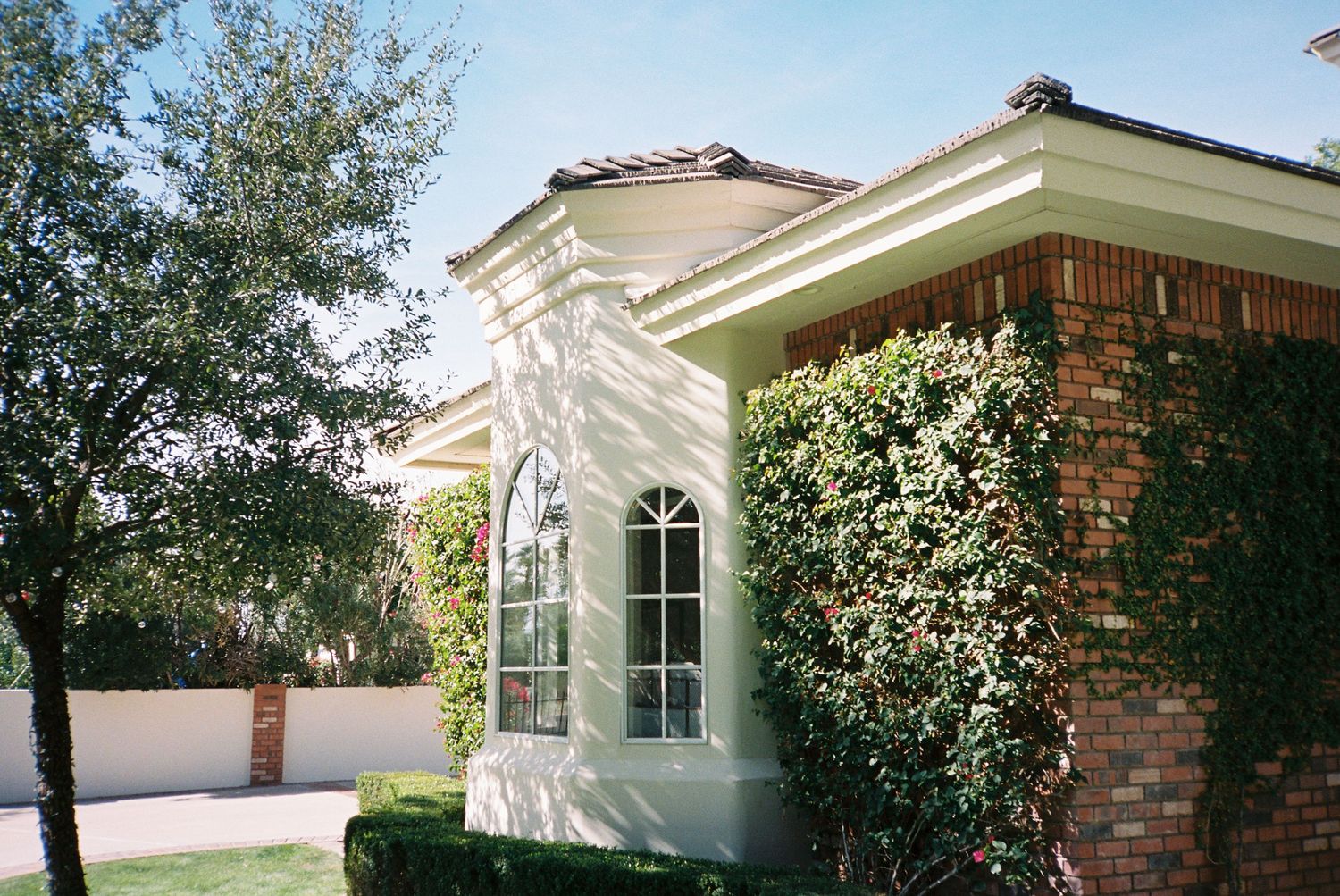 Elegant brick home exterior with arched window surrounded by lush climbing vines and hedges.