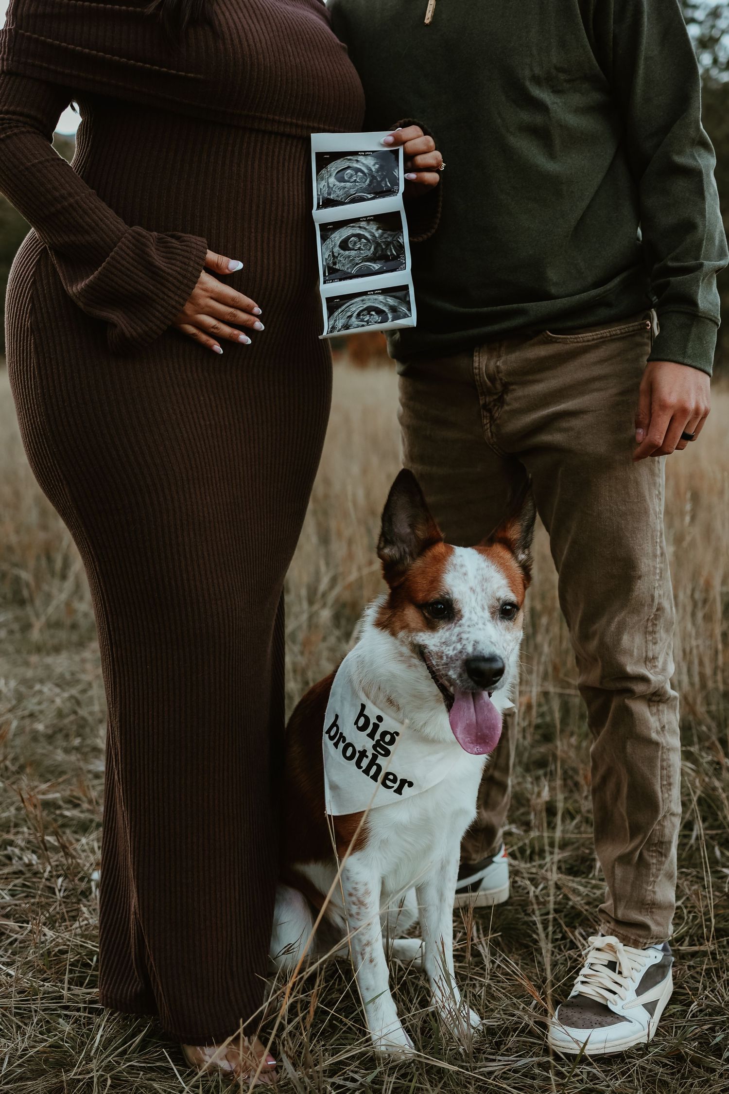 Pregnant couple holding ultrasound photos outdoors with dog wearing big brother bandana in field.