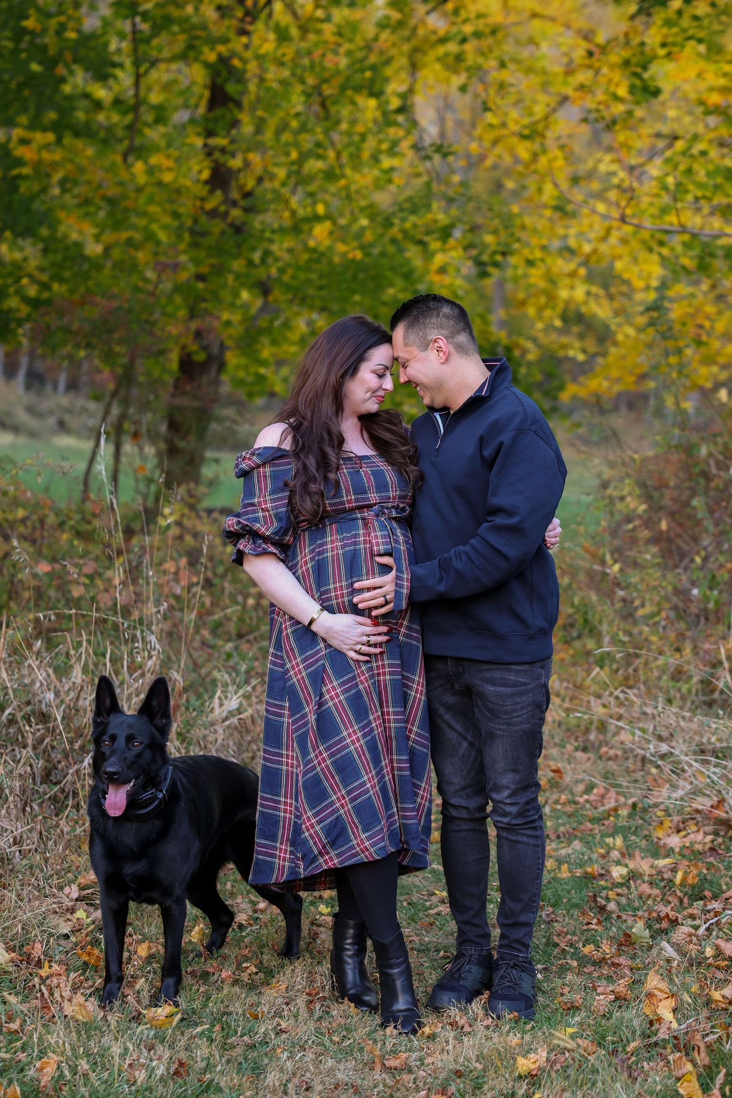 Pregnant couple embracing in autumn park with black German Shepherd dog, woman in plaid dress holding baby bump.