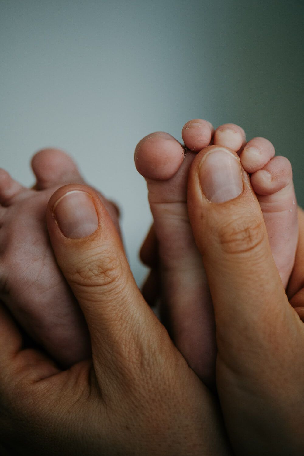 Close-up of adult hands gently cradling tiny newborn baby feet in soft natural light.
