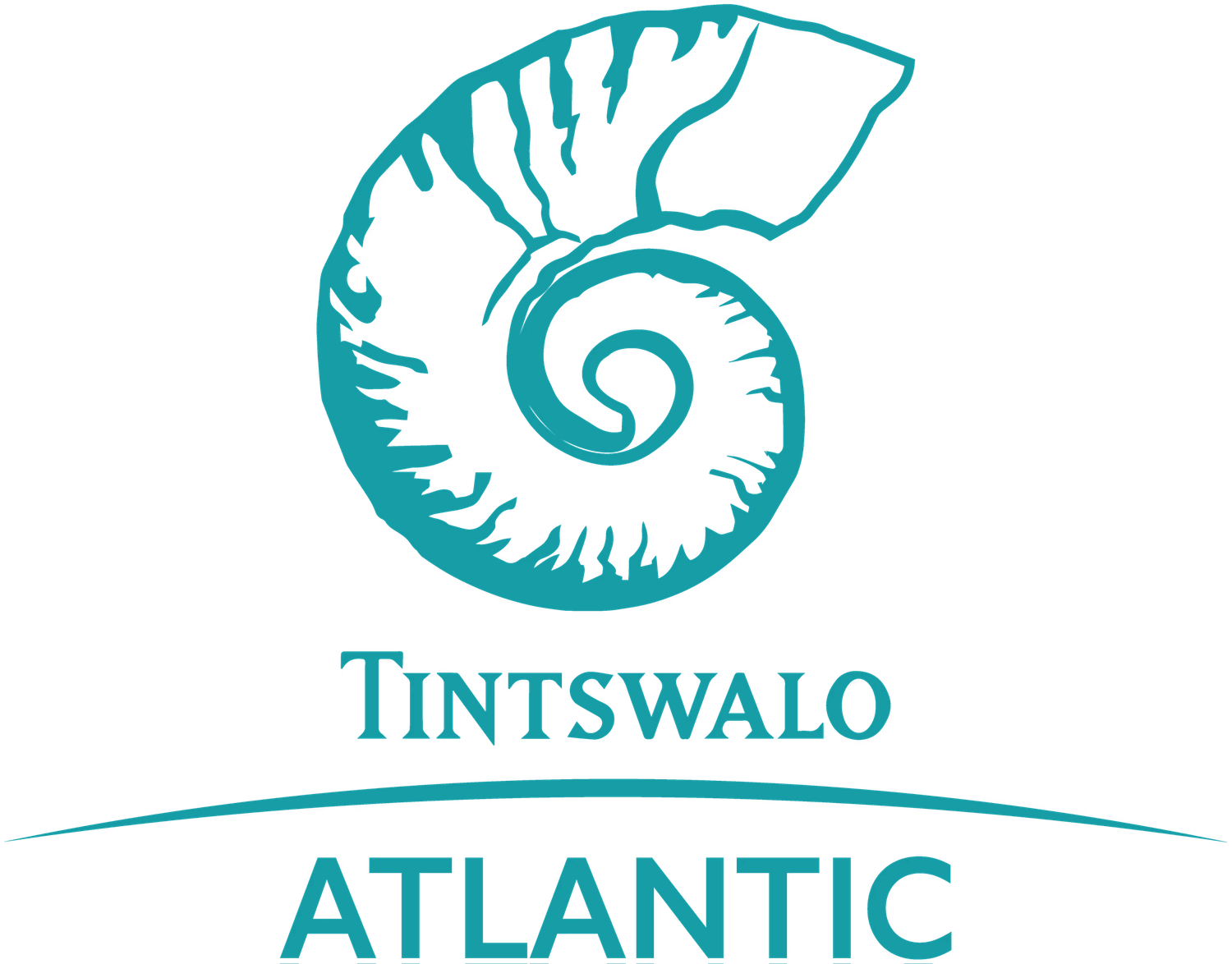 Tintswalo Atlantic logo with a teal nautilus shell illustration above elegant serif text.