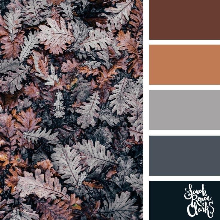 Autumn/Fall Apparel Photo Color Ideas