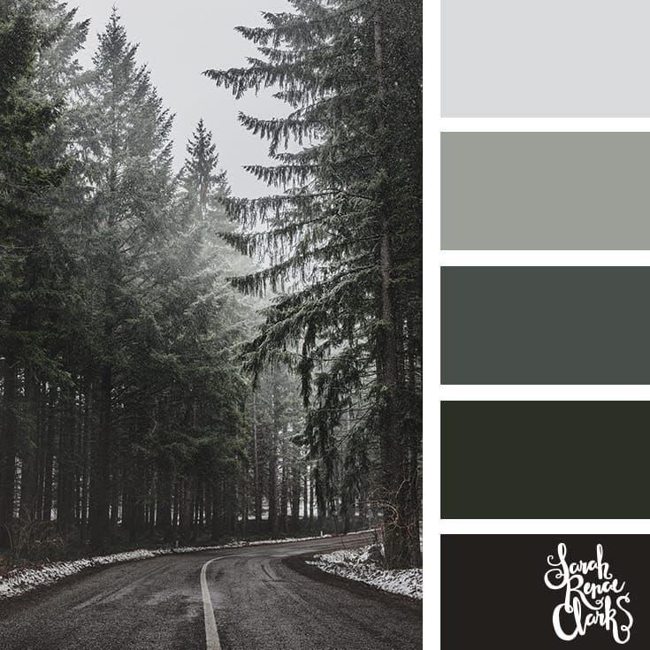 Winter Apparel Photo Color Ideas