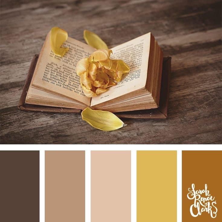 Spring Apparel Photo Color Ideas