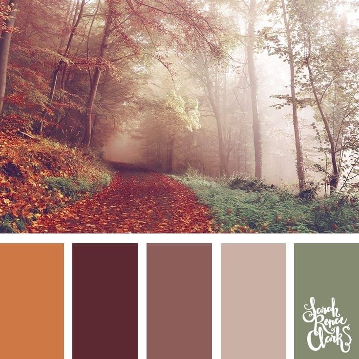 Autumn/Fall Apparel Photo Color Ideas
