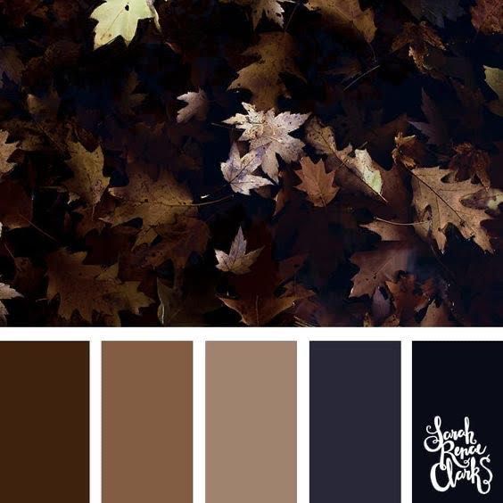 Autumn/Fall Apparel Photo Color Ideas
